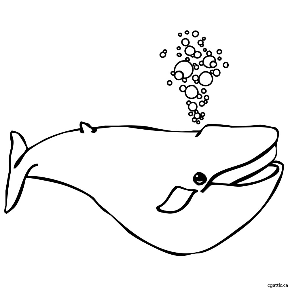 1000x1000 Whale Cartoon Drawing In Steps With Photoshop - Line Drawing Images