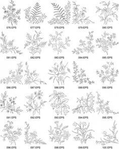 236x295 Free Simple Line Drawings Vector Flower Line Illustrations - Line Drawing Images Free