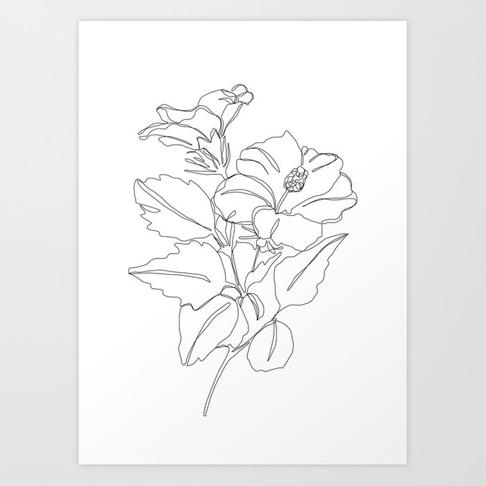700x700 Floral One Line Drawing - Line Drawing Lily