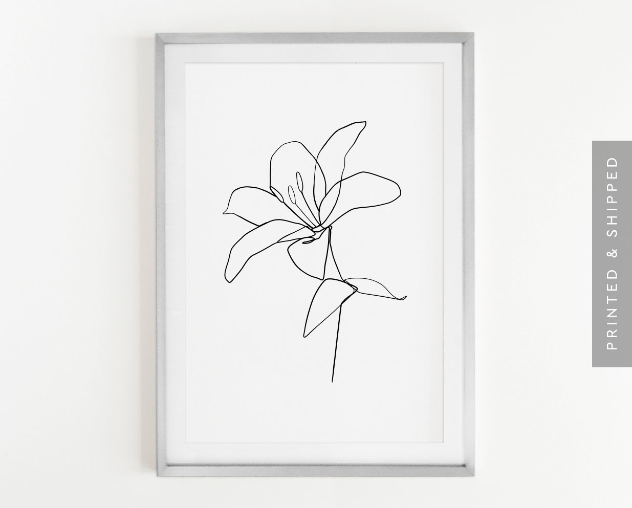1235x993 Flower Line Art Minimalist Flower Drawing Lily One Line Etsy - Line Drawing Lily