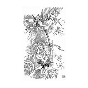 300x300 Rose And Lily Line Drawing Drawing - Line Drawing Lily