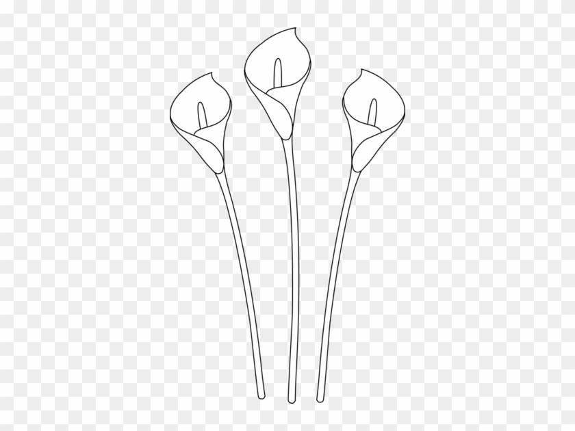840x630 Calla Lily Clipart Line Drawing - Line Drawing Lily