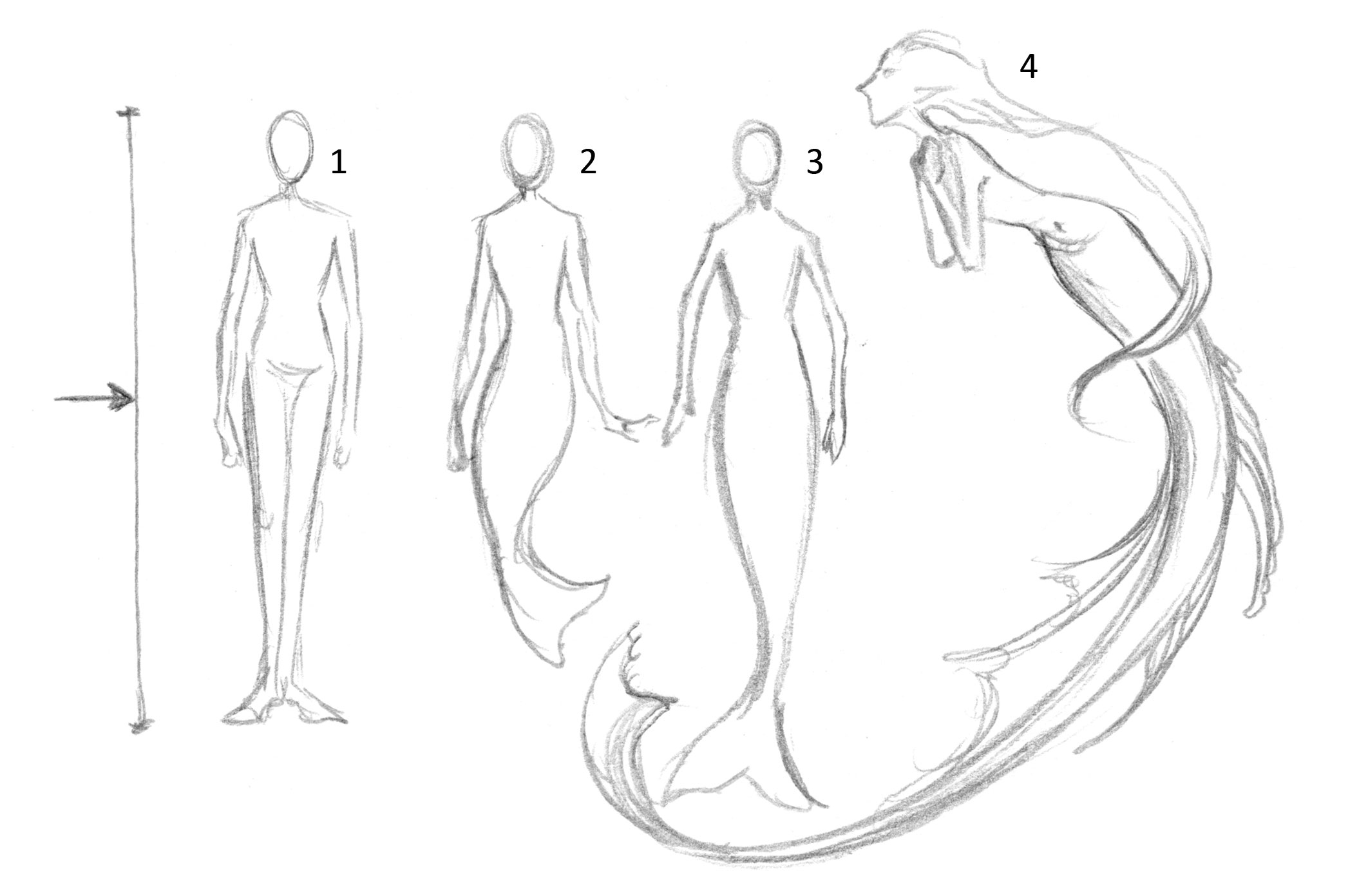 2124x1391 How To Draw A Mermaid Proportions And Tails - Line Drawing Mermaid