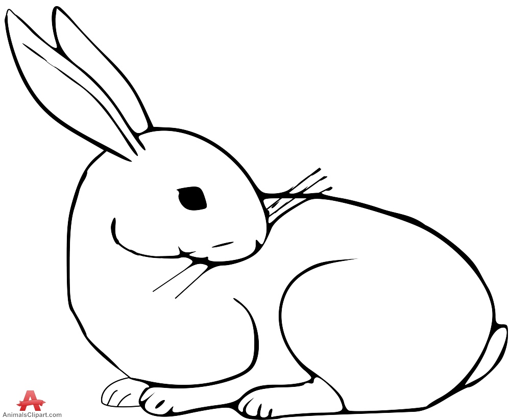 Line Drawing Of A Bunny At Paintingvalley Com Explore Collection