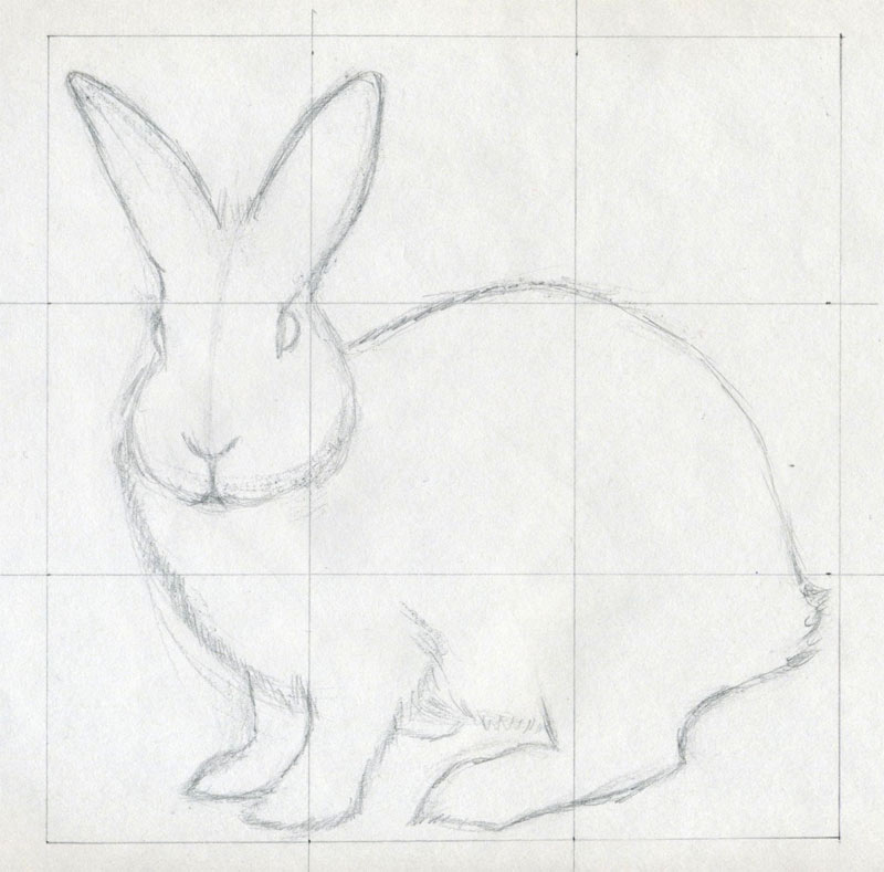 Животное рисунок 7 класс. Рисунки животных простым карандашом. Рисунки животных карандашом для срисовки. Кролик набросок. Простой рисунок на свободную тему.