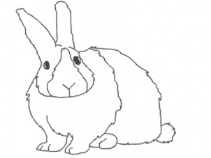 302x227 How To Draw A Bunny - Line Drawing Of A Bunny