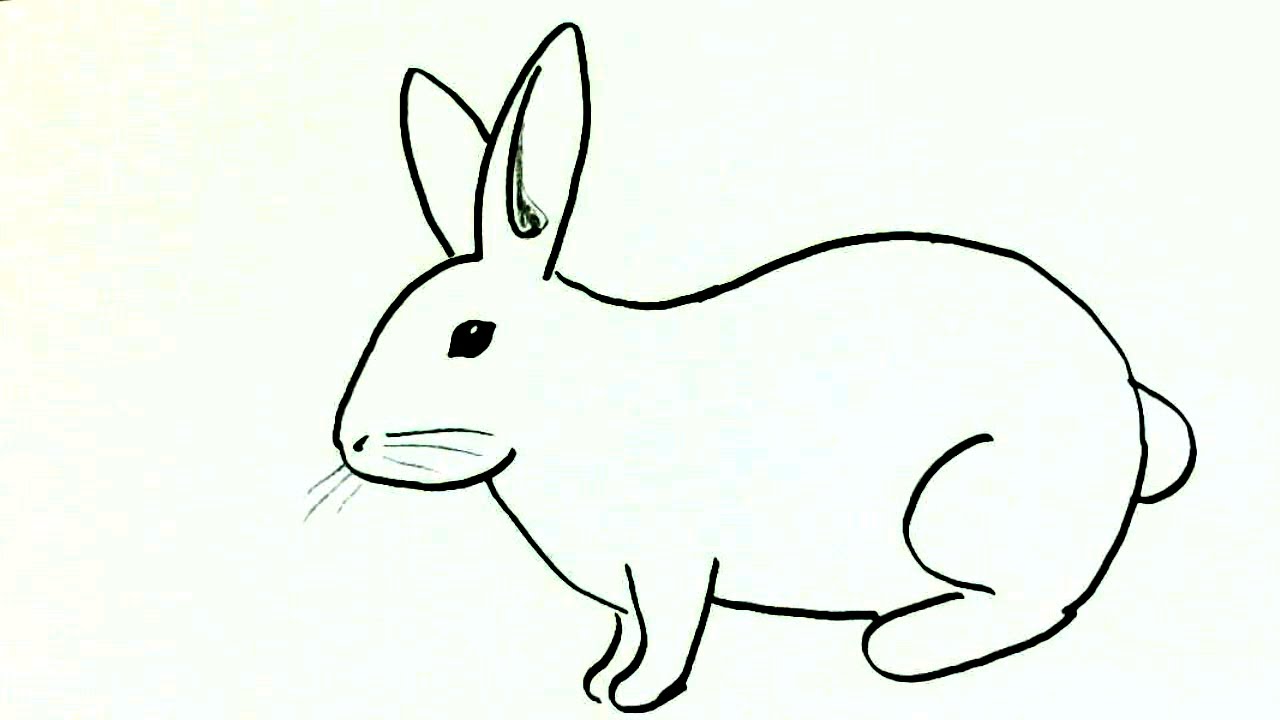 1280x720 How To Draw A Rabbit Or Bunny In Easy Steps For Children - Line Drawing Of A Bunny