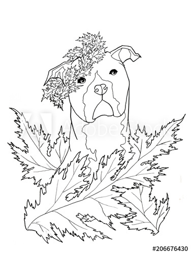 376x500 Line Art Ink Drawing Of A Staffordshire Dog With Akanthus Leaves - Line Drawing Of A Crown
