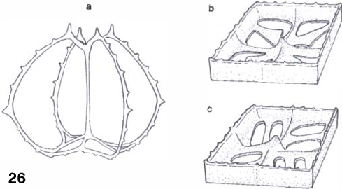 489x270 Line Drawings - Line Drawing Of A Crown