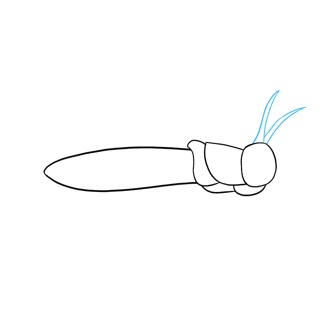 680x678 How To Draw A Grasshopper - Line Drawing Of A Grasshopper