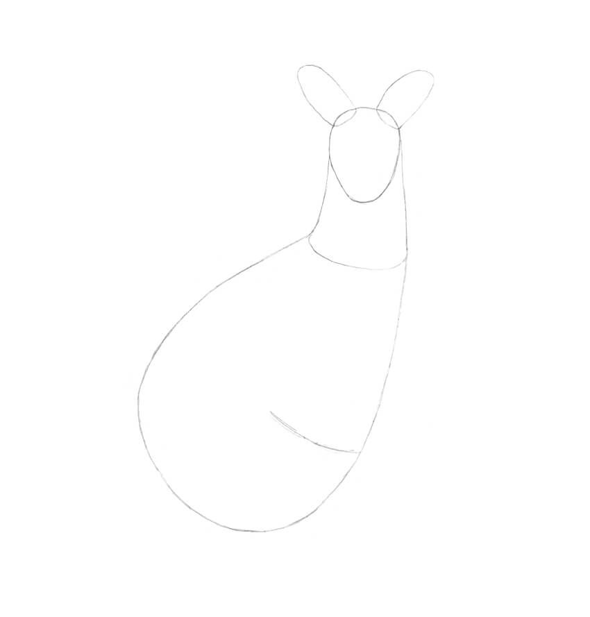 850x889 How To Draw A Kangaroo - Line Drawing Of A Kangaroo