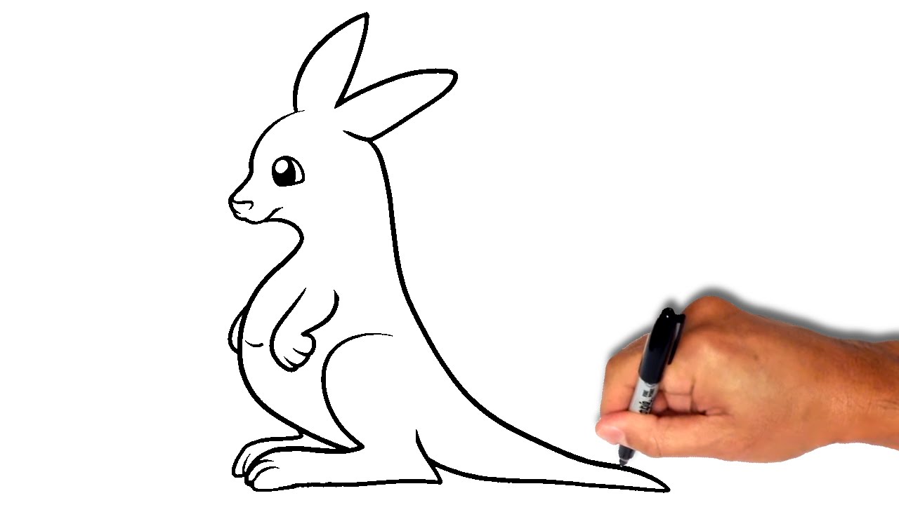 1280x720 How To Draw A Kangaroo - Line Drawing Of A Kangaroo