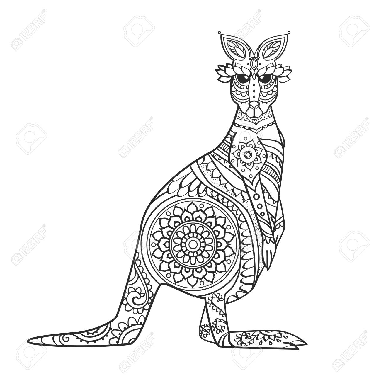 1300x1300 impressive kangaroo pictures to print useful line drawing - Line Drawing Of A Kangaroo