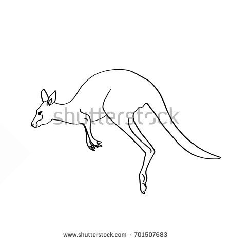 Line Drawing Of A Kangaroo at PaintingValley.com | Explore collection ...