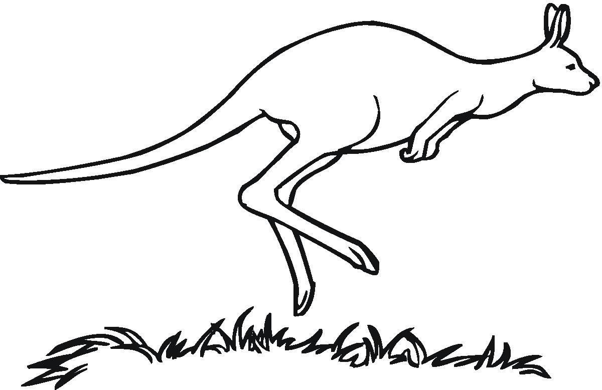 1200x778 Kangaroo Drawing Line For Free Download - Line Drawing Of A Kangaroo