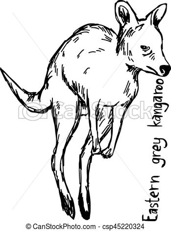 349x470 Eastern Grey Kangaroo - Line Drawing Of A Kangaroo