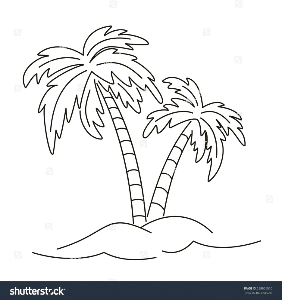 Line Drawing Of A Palm Tree at PaintingValley.com | Explore collection ...