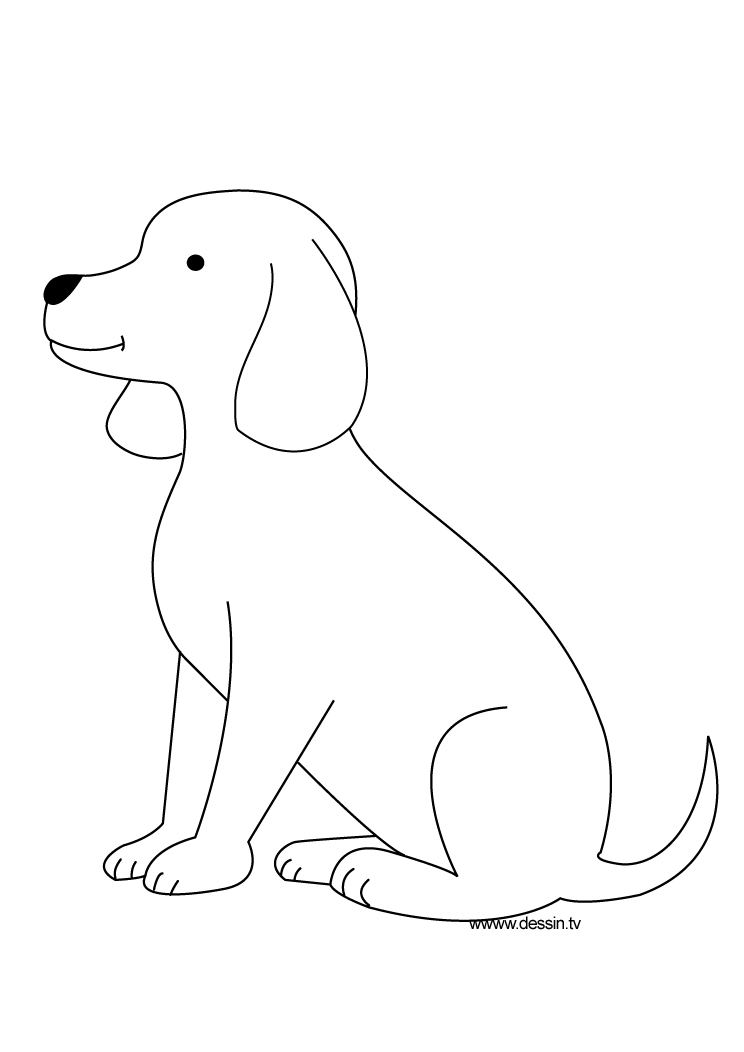 744x1052 Coloring Puppy - Line Drawing Of A Puppy