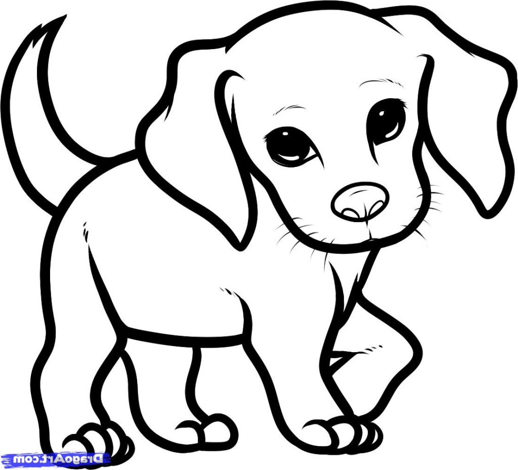 1024x929 Bed Drawing Puppy For Free Download - Line Drawing Of A Puppy