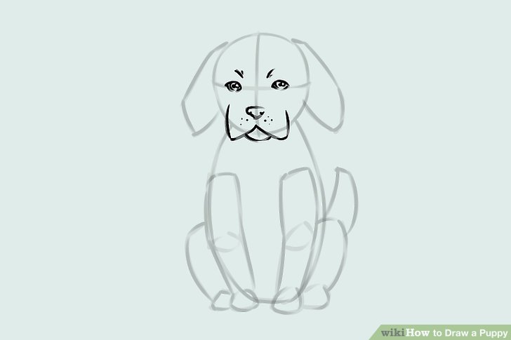 728x485 Ways To Draw A Puppy - Line Drawing Of A Puppy