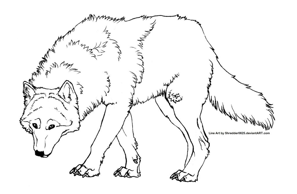 Line Drawing Of A Wolf at Explore collection of