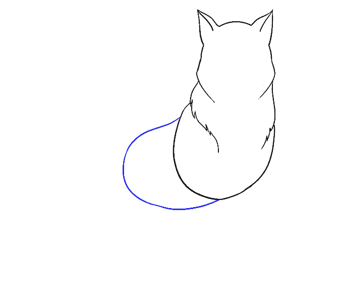 678x600 How To Draw A Wolf Easy Step - Line Drawing Of A Wolf