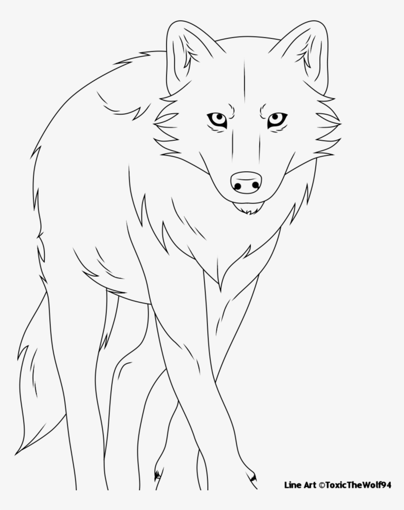 820x1036 Lineart - Line Drawing Of A Wolf