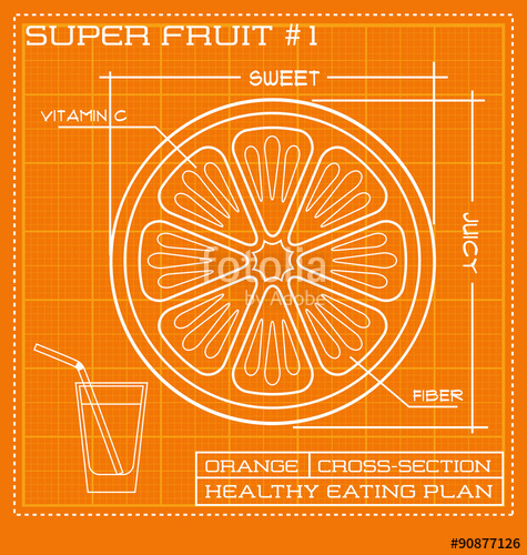 475x500 Blueprint Diagram Line Drawing Of Fruit Infographic Of An Orange - Line Drawing Of Cross