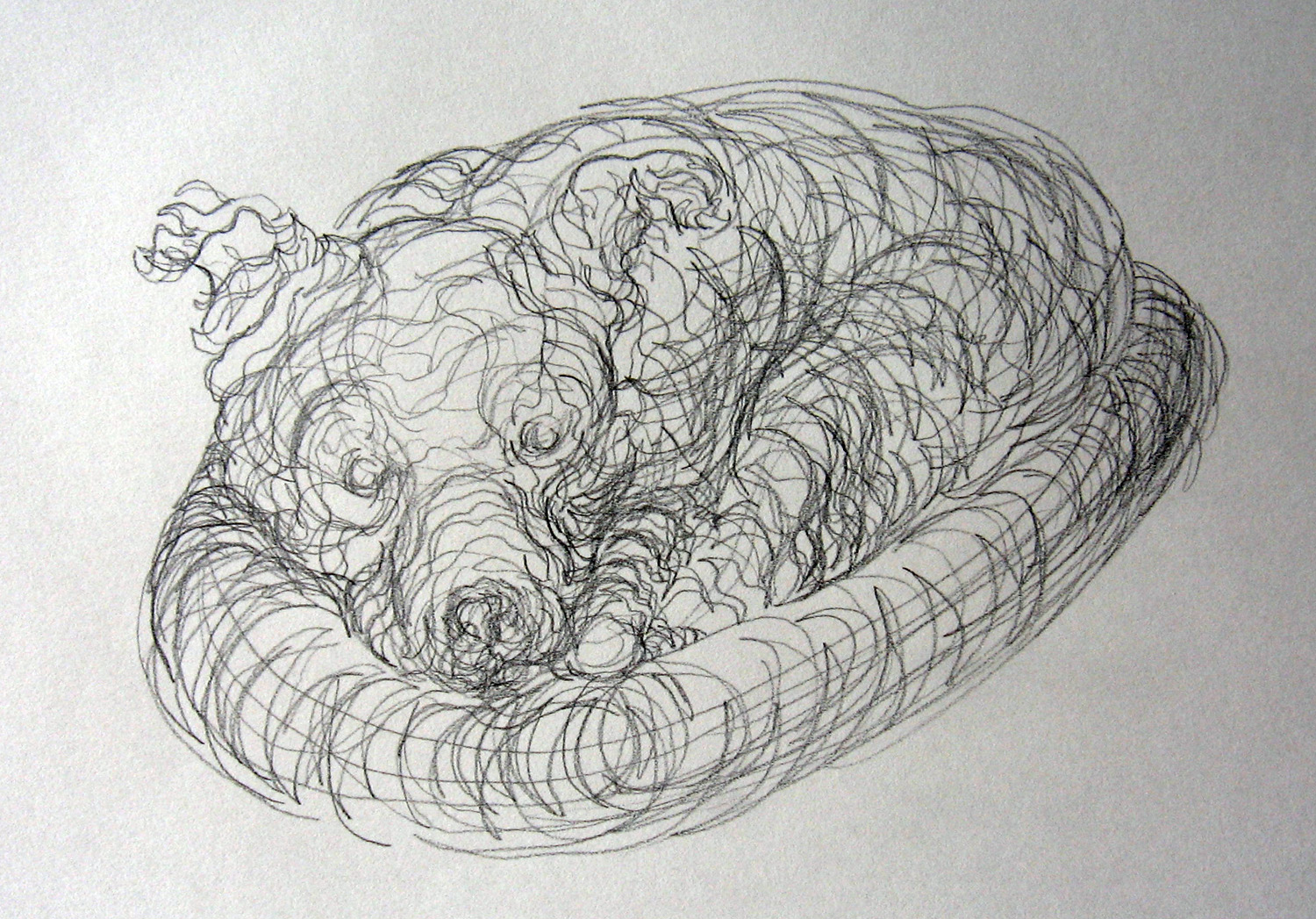 1500x1047 Copy Of Cross Contour Lines - Line Drawing Of Cross