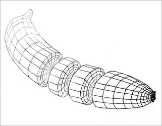321x250 Cross Contour Drawing - Line Drawing Of Cross