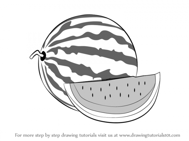 640x480 Drawn Watermelon Line Drawing - Line Drawing Of Watermelon