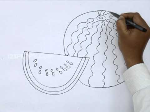 480x360 How To Draw A Watermelon - Line Drawing Of Watermelon