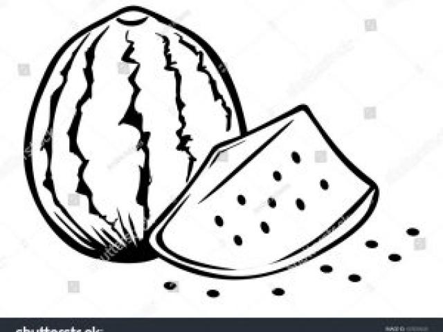 640x480 Watermelon Clipart Line Drawing - Line Drawing Of Watermelon