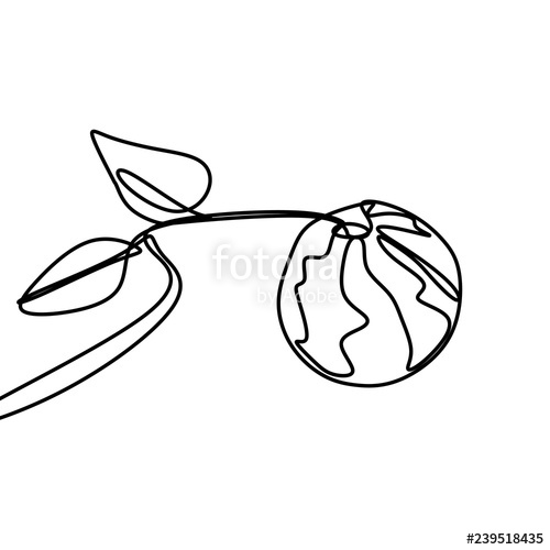 500x500 Watermelon One Line Drawing Vector Stock Image And Royalty Free - Line Drawing Of Watermelon