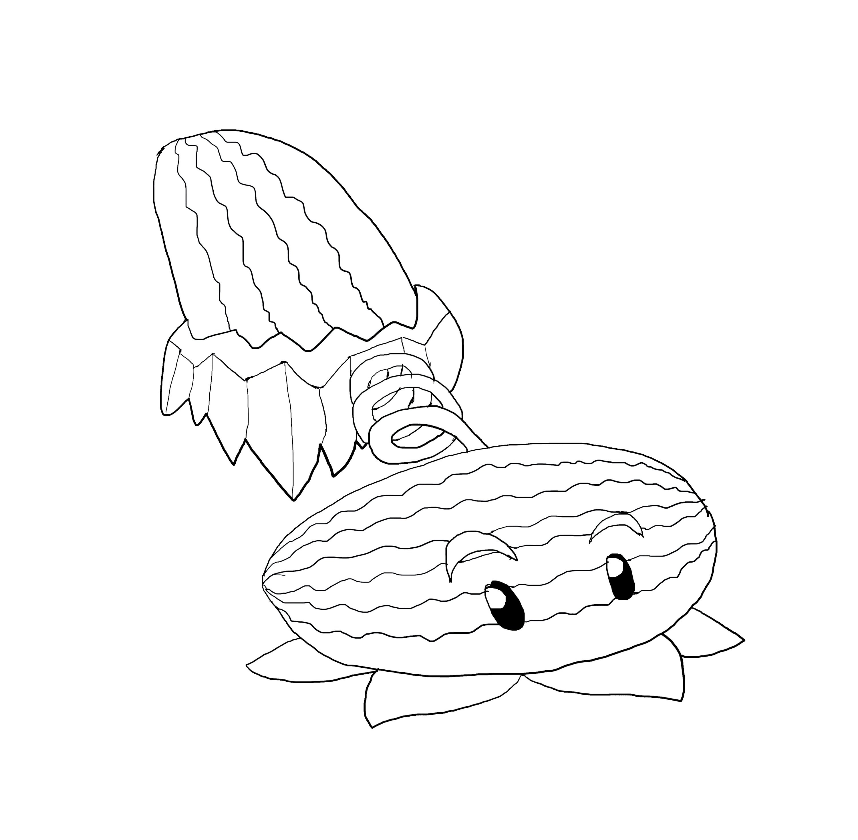 3000x2940 Drawn Watermelon Line Drawing - Line Drawing Of Watermelon