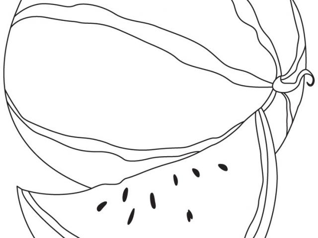 640x480 Drawn Watermelon Line Drawing - Line Drawing Of Watermelon