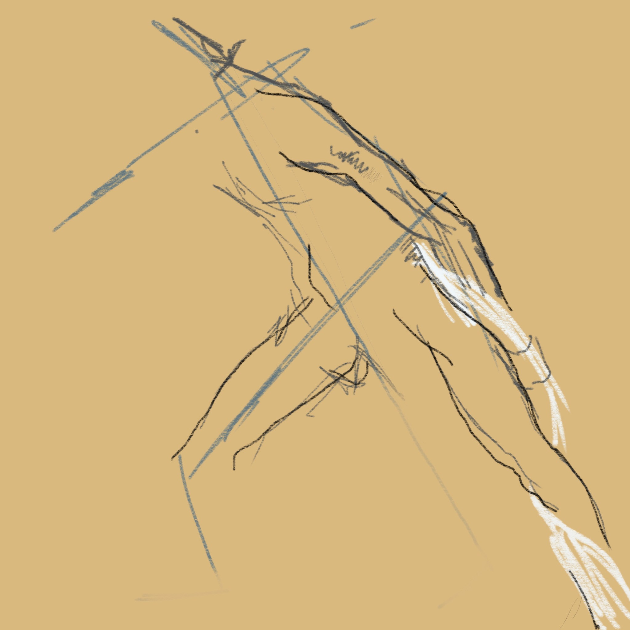 2048x2048 How To Learn To Draw With The Ipad Pro Cult Of Mac - Line Drawing Pictures