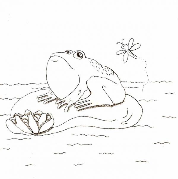 600x602 Simple Animal Drawings For Beginners - Line Drawing Pictures