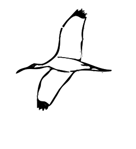 Line Drawing Pictures Of Birds