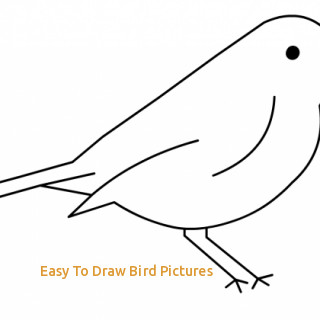 20+ Fantastic Ideas Bird Line Drawing Simple | The Quiet Country House
