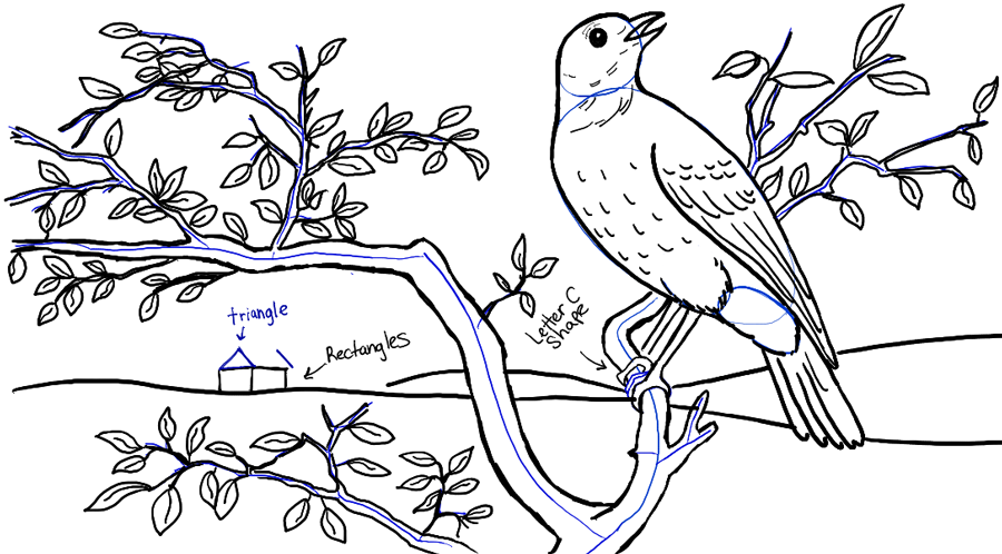 900x498 How To Draw A Bird In A Tree In Front Of Rolling Hills Landscape - Line Drawing Pictures Of Birds