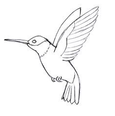 236x237 Best Bird Line Drawing Images Birds, Drawings, Bird Drawings - Line Drawing Pictures Of Birds