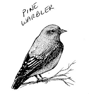 300x314 Line Art - Line Drawing Pictures Of Birds