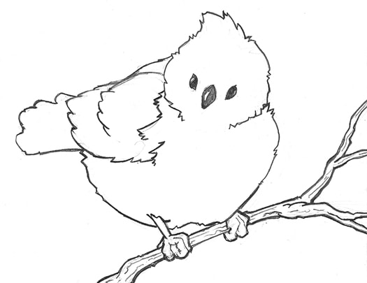 525x405 Nate Lindley, Teaching Art How To Draw Perched Birds - Line Drawing Pictures Of Birds
