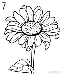 204x247 Image Result For Sunflower Line Drawings Drawing Sunflowers - Line Drawing Sunflower