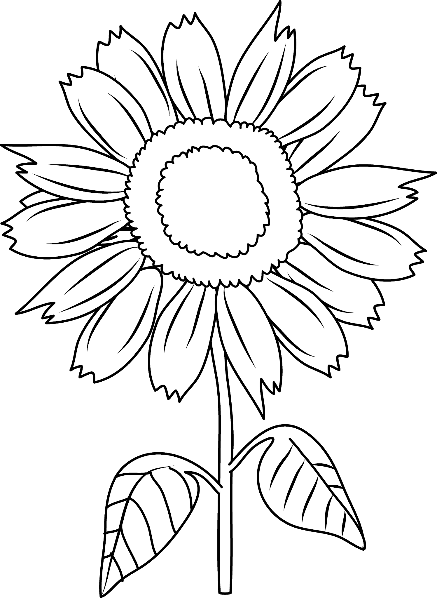 1498x2048 Drawing Sunflowers Line Transparent Png Clipart Free Download - Line Drawing Sunflower