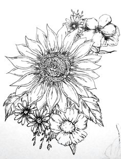 236x310 Flowers Drawing Sunflower Best Flower Line Drawings Images - Line Drawing Sunflower