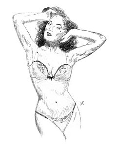 232x300 Lingerie Drawings - Lingerie Drawing