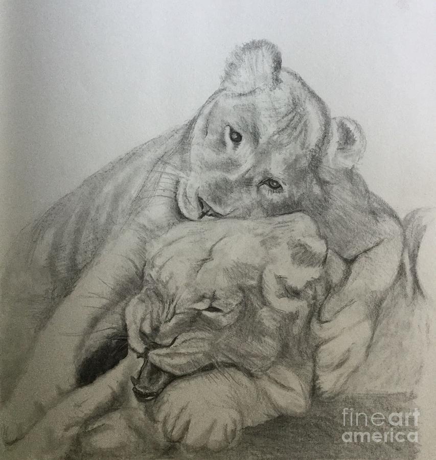 853x900 lion cubs drawing - Lion And Cub Drawing