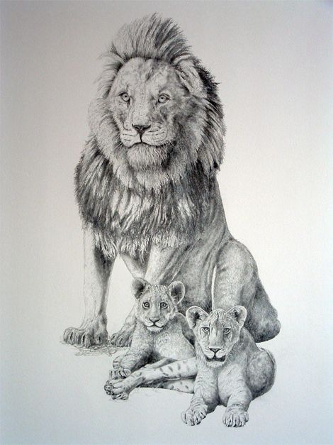 470x627 lion and her cubs animals i love tattoo drawings, cubs tattoo - Lion And Cub Drawing